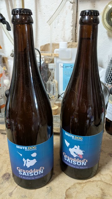 A couple of 750ml beer bottles with fancy blue labels stating, "Granddad's Saison" and featuring illustrations of my Malamute's face.