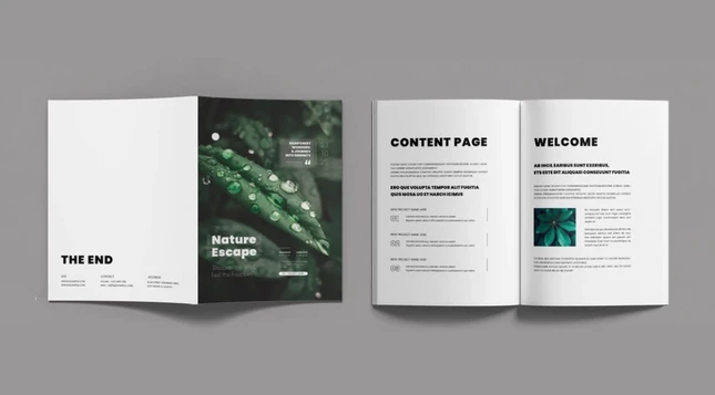 Adobe InDesign magazine layout design template in A4 for Nature Content