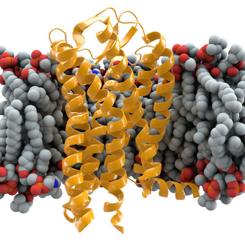 The 7,000-year-old+ genetic mutation that protects against HIV Labmate Online