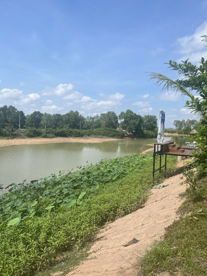 Pretty area by rest stop