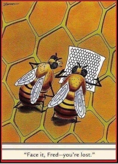 A Far Side cartoon by Gary Larson. Two bees are standing the the middle of a beehive where they are surrounded by identical hexagons. One is looking at a map, filled with identical hexagon. The other says, "Face it, Fred-- You're lost."