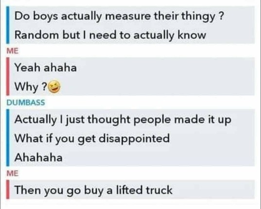 This is a meme consisting of a text-based conversation. The meme begins with a question posed by an anonymous user asking if boys actually measure their "thing." The response from "ME" is affirmative with a laughing emoji, followed by a question asking "Why?" The next speaker, "DUMBASS," responds with a humorous explanation that people might make up measurements if they feel disappointed. The conversation concludes with "ME" suggesting that the solution is to buy a lifted truck. The meme humorously pokes fun at stereotypes and insecurities related to male measurements and the American fascination with large vehicles.