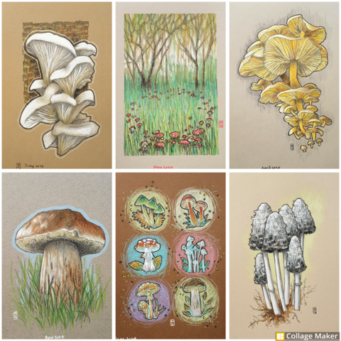 A photo collage of some of my mushroom drawings:
White oyster mushrooms, a landscape with a fly agaric fairy ring, a cluster of yellow mushrooms, a penny bun, mini mushroom portraits and shaggy ink caps.