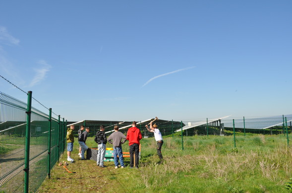 Eine Gruppe junger Männer arbeitet gemeinsam auf einer Solarfeldfläche. Einige stehen im Halbkreis, während eine Person in einem weißen T-Shirt mit einer Axt einen Holzpfahl einschlägt. Die Umgebung ist eingezäunt und von Solarmodulen gesäumt.