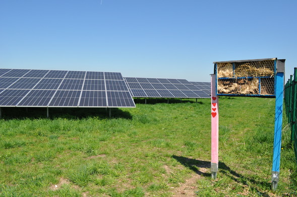 Ein bunt bemaltes, kleines Insektenhotel mit rosa und blauen Pfosten steht am Rand einer Wiese mit großen Photovoltaikmodulen. Das Hotel ist mit Stroh und Holz gefüllt und von einem Drahtgitter geschützt. Der Himmel ist klar und blau.