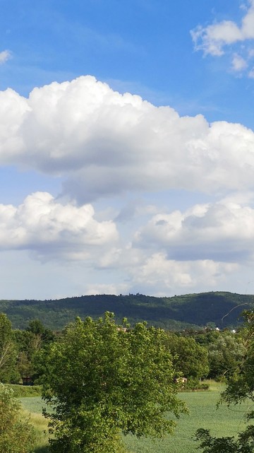 Burg Frankenstein