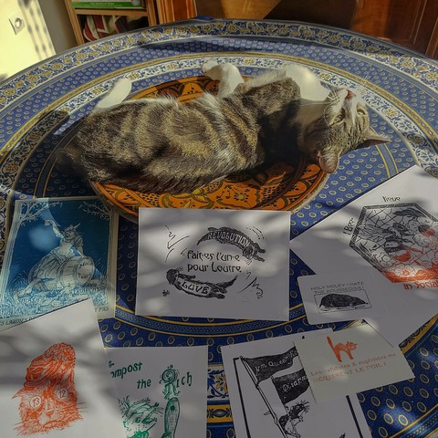Pirate, un petit chat tigré blanc, qui prend le soleil allongé dans un plat en terre cuite sur une table. Devant lui se trouve plein de prints que j'ai réalisé avec ses thématiques anarchistes et des looks vintages mais colorés.