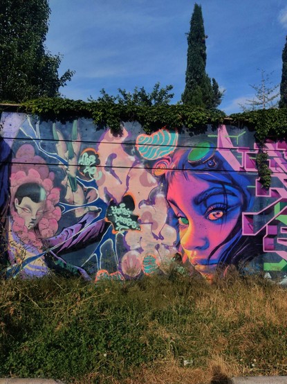 Muro exterior del parque García Lorca. En él hay un gran graffiti pintado, con tonos morados. A la izquierda hay un personaje con unos ojos rasgados. A la derecha se ve la cara de una persona con anteojos steampunk. En medio de los dos personajes hay figuras abstractas, similares a nubes y algo parecido a un mensaje en un idioma que no reconozco.