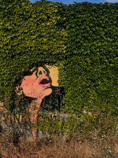 Graffiti de la cara de una mujer con la boca abierta. La hiedra ha cubierto parte del muro y solo se ve la parte inferior de la mujer.