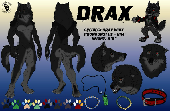 Reference sheet of a dark gray anthro wolf with a front and back fullbody, chibi, and three expressive headshots, with items added in the bottom right