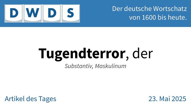 Tugendterror, der | Substantiv, Maskulinum