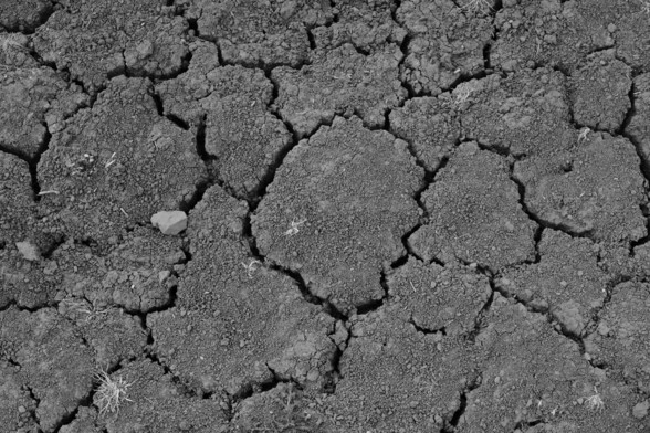 Bare, dry earth. Cracked into large tessellated shapes.