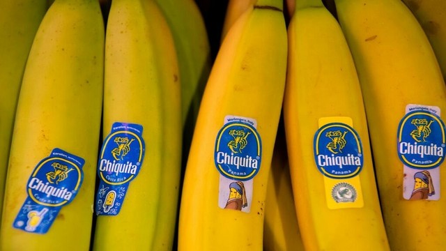 Nach Streik: Chiquita will Tausende Arbeiter in Panama entlassen