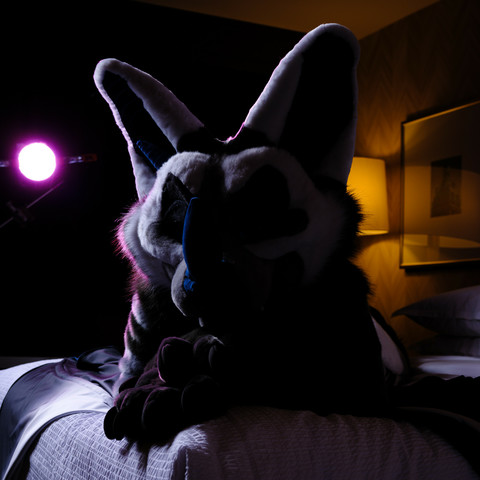 A photo of a bat fursuit laying on a bed in low light dark from the front with a soft light from the back.