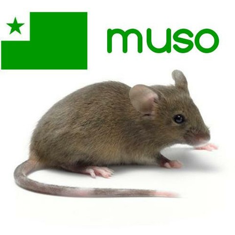 muso