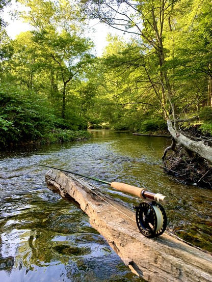 view of a creek with a swift current flowing through the woods under a bright, mostly cloudy sky. A fallen tree extends toward the middle of the creek, with a fly rod resting on it.