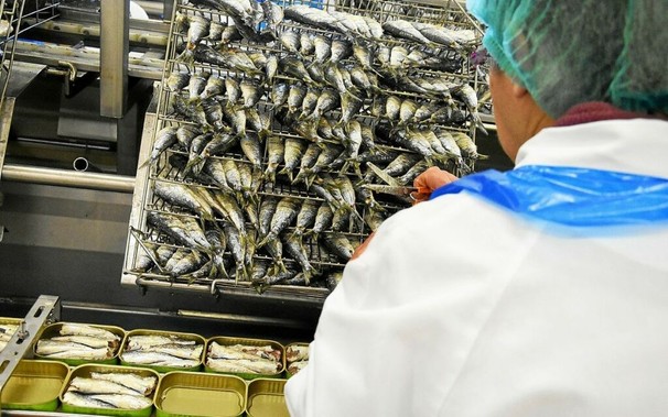 En Bretagne, Intermarché veut céder son pôle mer et attend des repreneurs