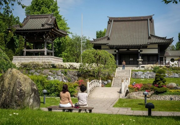 Japan-Tag in Düsseldorf - In NRW leben gut 12.000 Japaner - Kultur