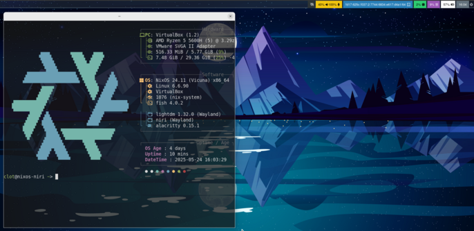Linux rice of nixos system