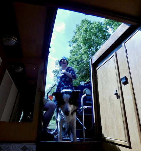 View looking up from the inside of a narrowboat through a hatch. I can be seen holding the tiller in sunglasses looking dead ahead. A collie dog is looking down at the photographer.