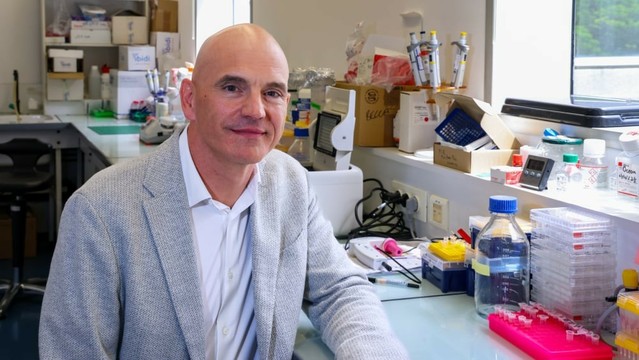Un projet prometteur pour détecter plus tôt le cancer du pancréas