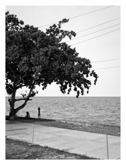 A black and white photograph of the sea. In the foreground, there's a paved path or road, with some grass on the left side. A large, mature tree with a thick trunk and abundant foliage dominates the left side of the frame.

Under the tree, there are two individuals. One seems to be resting, while another with his hands crossed appears to be looking out towards the sea.

The middle ground is occupied by a sea. - Google Gemini
