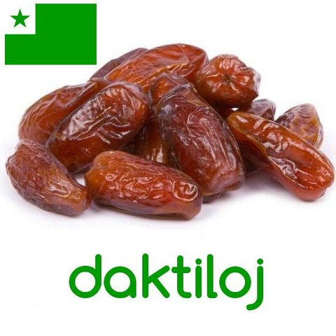 daktiloj