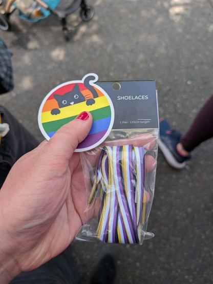 A quick picture I took at the market that shows off the laces and a sticker I picked up. The laces have Nonbinary Flag colors (yellow, white, purple, and black) along their length. The sticker is a circle containing a pride rainbow with a black cat peeking up from behind the yellow stripe.