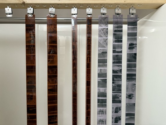 7 rolls of negatives hanging to dry.  2 120 rolls in color, 2 35mm rolls in color, 3 120 rolls in black and white.