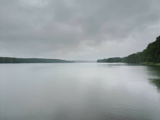 The image shows a calm, expansive body of water, possibly a lake or river, surrounded by dense green forest. The sky is overcast with gray clouds, suggesting a cloudy or rainy day. The water surface reflects the gray tones of the sky.