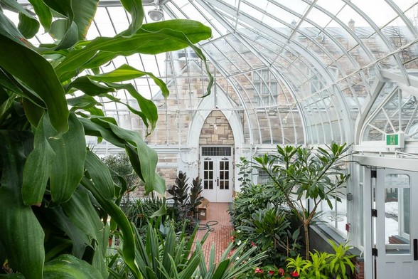 Interior of a greenhouse with an arched glass ceiling. Inside are various plants, including large leafy greens and smaller flowering plants. A red brick pathway leads to a white door set in a stone wall. Natural light fills the space.