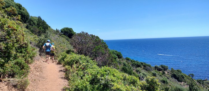 Dusty path along sea coast, surrounded by low bushes and some trees, under a blue sky. On the path there is a small group of runners.