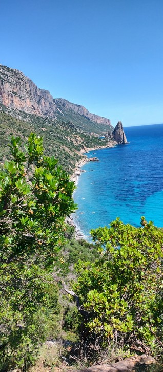 View towards a distant tall cliff, Piedra Longa, along a sea coast, through some low trees.