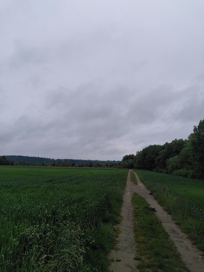 Clouds over a Green field.