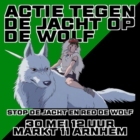 ACTIE TEGEN DE JACHT OP DE WOLF

STOP DE JACHT EN RED DE WOLF
30 MEI 12 UUR MARKT 11 ARNHEM