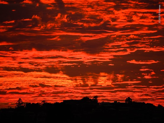 A blazing red sunrise illuminates the underside of dense, somewhat ragged low cloud. The result is an intense, upside-down topography in red and orange, over the black silhouette of the dark skyline of trees and roofs.