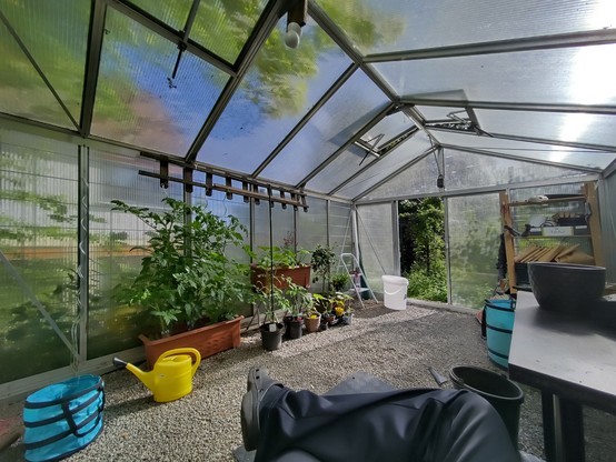 A large greenhouse, inside view. Tomatoes and pumpkin plants, and a couple of citrus trees.