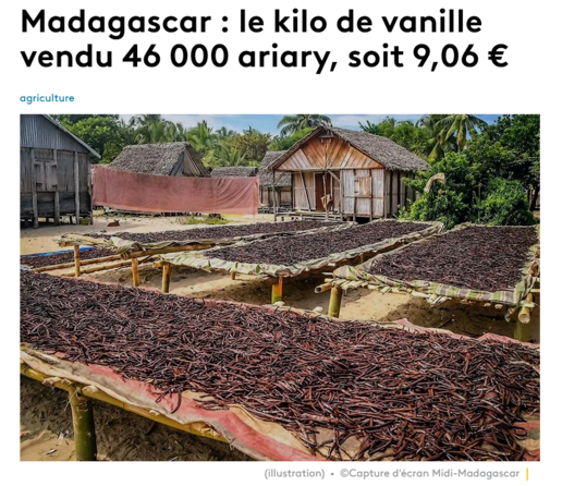 Madagascar : le kilo de vanille vendu 46 000 ariary, soit 9,06 €
