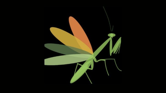 A stylised, multicolored illustration of a praying mantis with overlapping wings in shades of green, yellow, and orange, set against a black background. The image represents the Hub logo, referring to community collaboration in decolonial feminist work, drawing on Indigenous philosophies where the praying mantis holds significant meaning.
