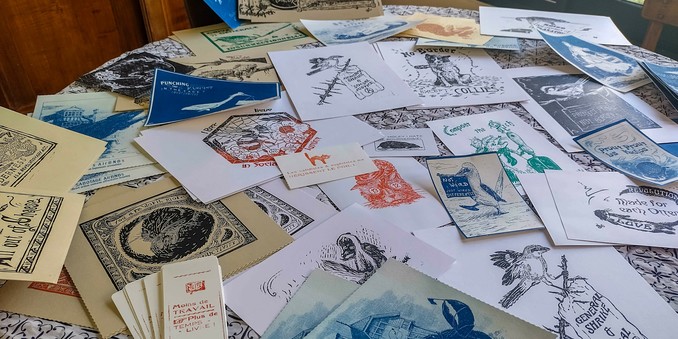 Plein de prints avec des papiers, des tailles et des illustrations différentes mais beaucoup d'animaux, des styles vintages et des messages progressistes. Les prints sont posés sur une table relativement grande et la recouvrent presque entièrement.