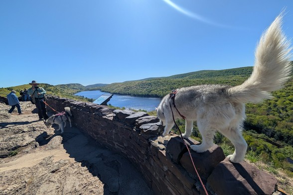 Husky Zeena has now turned left towards the NE, traversing the decorative layer of rocks on the top of the wall probably intended to keep humans from sitting/climbing on them. The wall recedes to the left, creating a barrier at the edge of a flatish rock escarpment on which people are enjoying the view. In the distance, to the east, a long narrow lake fills the valley between the escarpment and the ancient mountains on the other side, on the right. Zeena's fluffy sickle-shaped tail is held high, exaggeratedly large by the wide angle lens, shining in the sun, just out of frame above, which creates a curved lens flare that ends at Zeena's tail.
