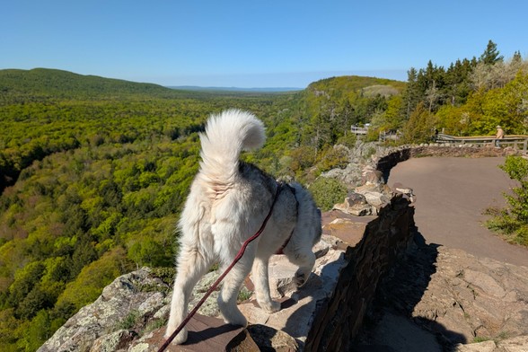 Sightseeing done, Zeena turns back to the right, going SW along the escarpment wall. The rocky escarpment descends to an accessible paved area with walkways and ramps to a wooden platform perched out over a distant cliff.