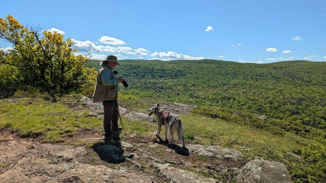 Jeff and Tonttu stand on yet another rocky face overlooking the wide spread of hill across the valley under a blue sky with scattered fluffy clouds on the horizon. Jeff is holding his camera with a long lens, and Tonttu stands with a happy tongue-out grin, looking at something in the trees behind them, to the left.