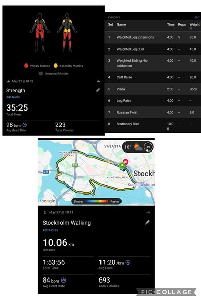 workout data