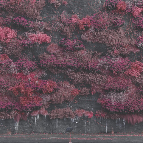 Cover art for Sleep Token "Even In Arcadia"