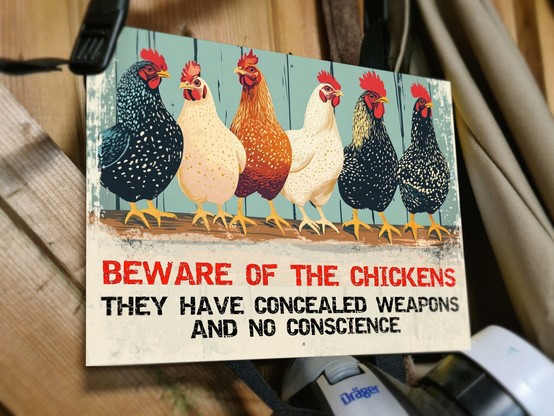 A sign warning that the chickens have concealed weapons.