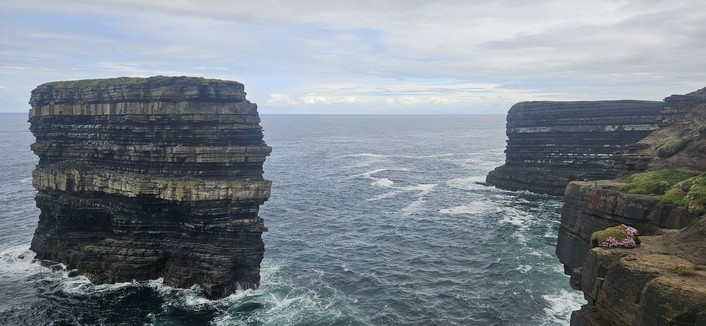 Two tall, flat-topped sea stacks stand in the ocean near a rugged coastline. The cliffs and stacks are marked with horizontal layers of rock, and the sea below is choppy with white waves. Some wildflowers grow on the cliff edge in the foreground
