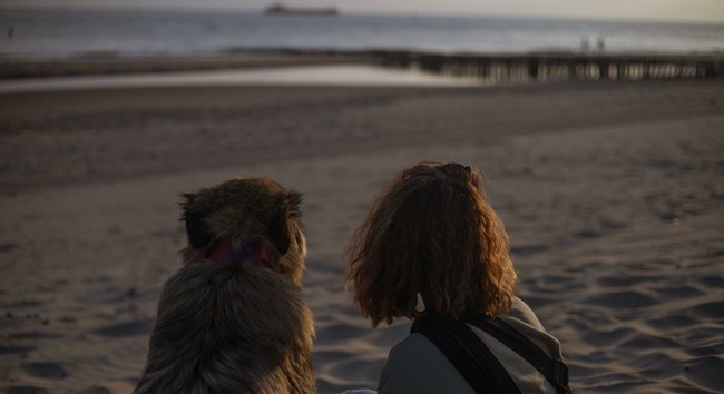 Frau und Hund am Strand im Sonnenuntergang