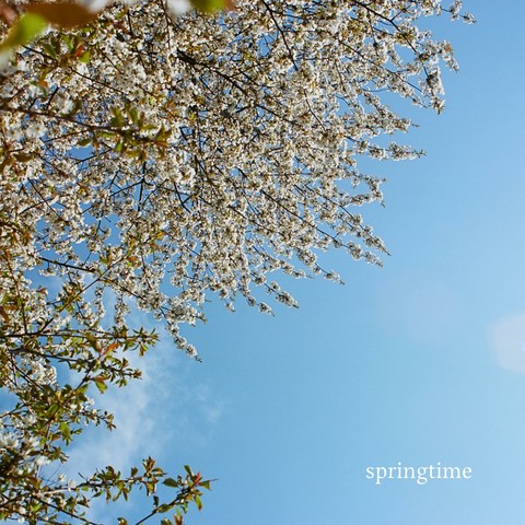 Dwi Riana, Marshall Veroni - Springtime cover art.