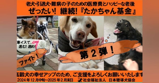 ぜったい！　聴導犬・介助犬支えた子達の『たかちゃん(医療)基金』を継続したい - CAMPFIRE (キャンプファイヤー)